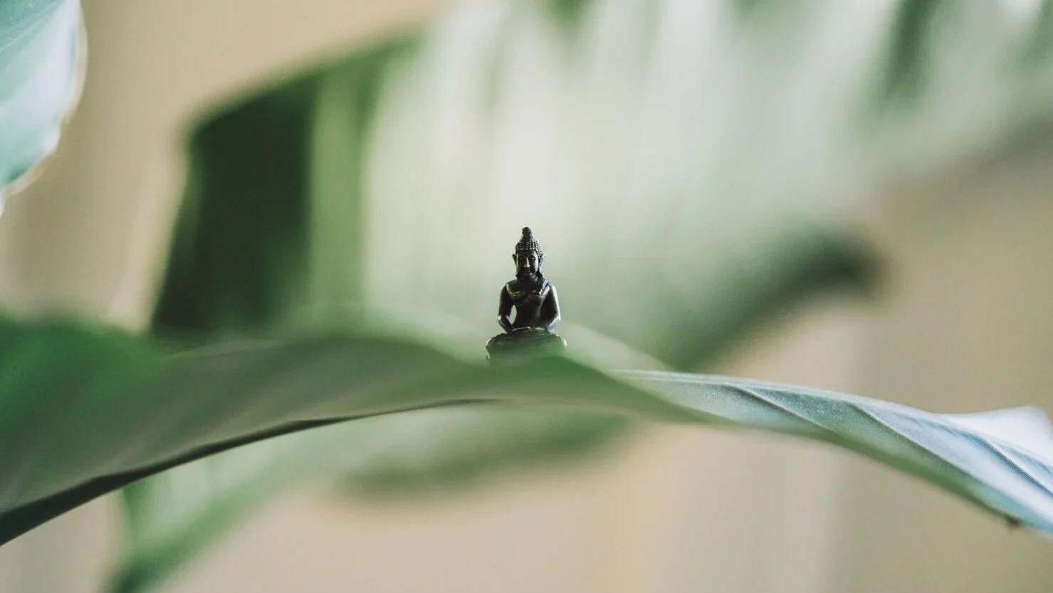 Very Small Buddha Statue Set Large Plant Leaf 181624 1522