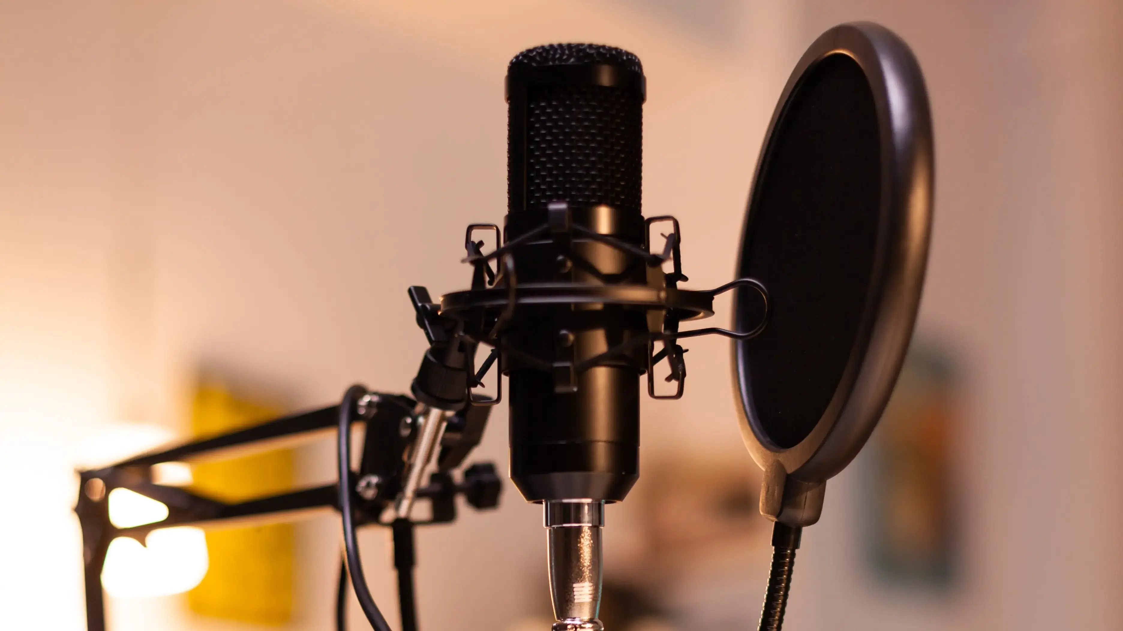 Zooming Professional Microphone Vlogger Home Studio