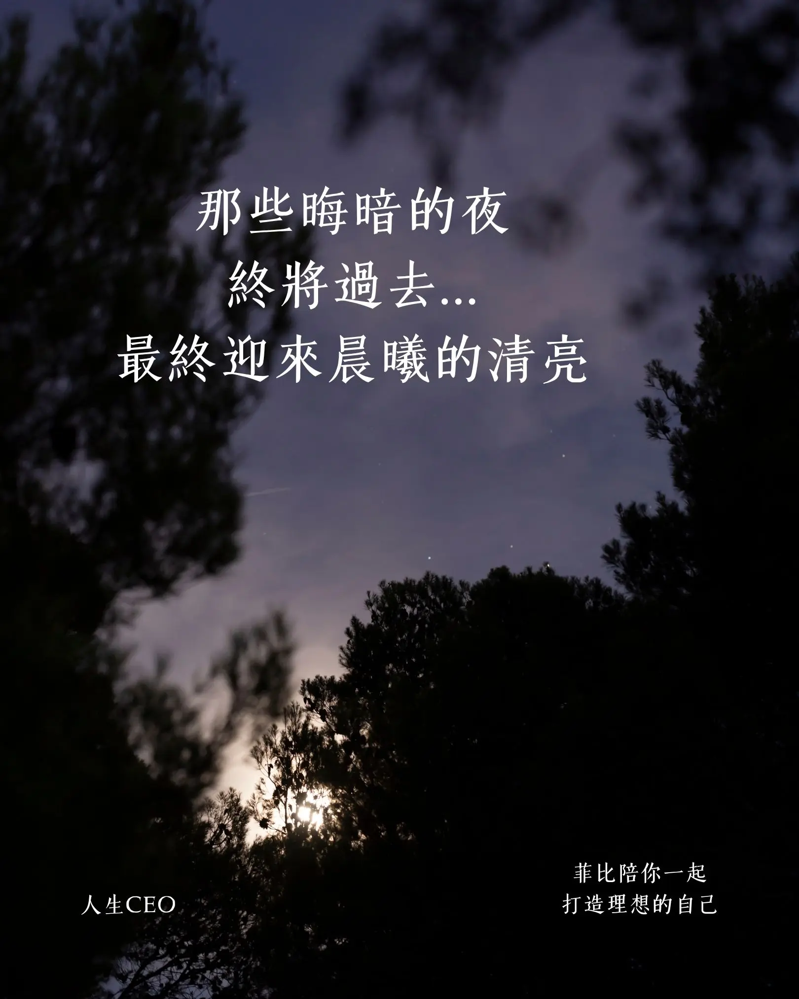 發文